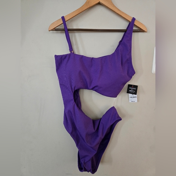 BAR III Micro-rib One-shoulder Swimsuit - Picture 4 of 6